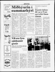 Síða 3