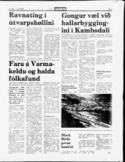 Síða 7