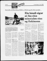 Síða 8