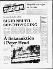 Síða 1