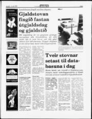 Síða 3