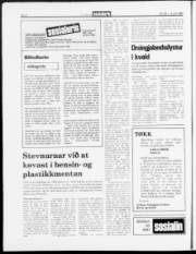 Síða 6