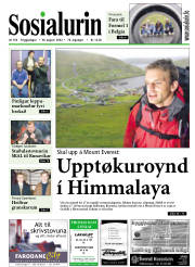 Síða 1
