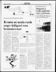 Síða 3