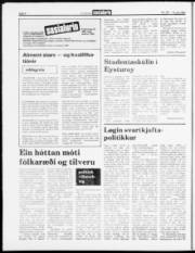 Síða 6
