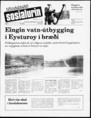 Síða 1