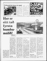 Síða 7