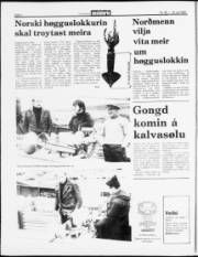 Síða 2