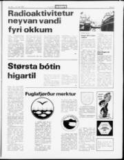 Síða 5