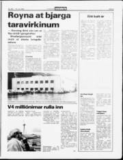 Síða 5