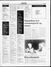 Síða 15