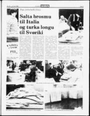 Síða 5