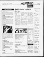 Síða 11