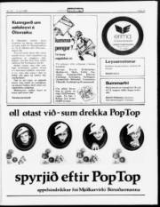 Síða 13