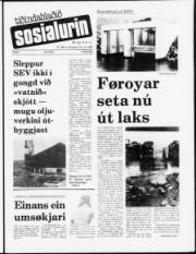 Síða 1