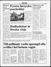 Síða 3