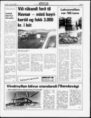 Síða 5