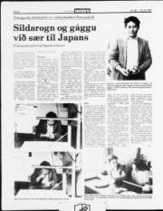 Síða 8