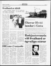 Síða 13