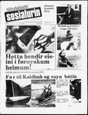 Síða 1
