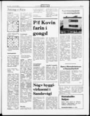 Síða 5