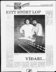 Síða 14