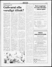 Síða 5