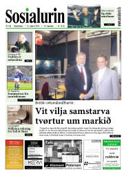Síða 1