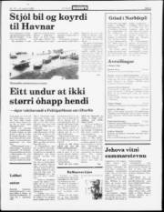 Síða 5