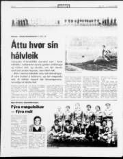 Síða 8