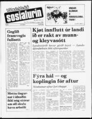 Síða 1