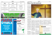 Síða 2