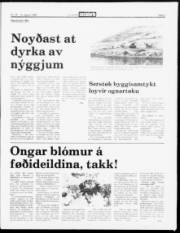 Síða 5