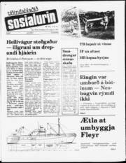 Síða 1