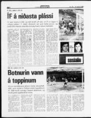 Síða 8