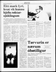 Síða 5