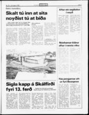 Síða 5