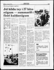 Síða 3
