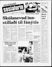 Síða 1