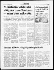 Síða 3