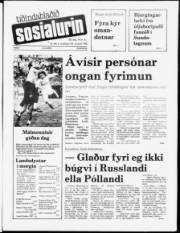 Síða 1