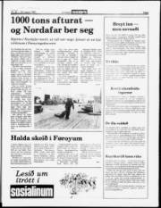 Síða 3