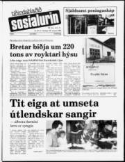 Síða 1