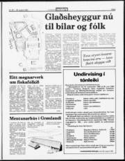 Síða 3