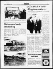 Síða 5