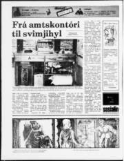 Síða 12