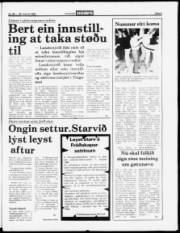 Síða 5
