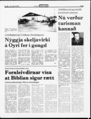 Síða 3