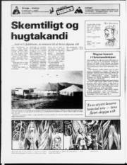 Síða 12