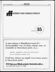 Síða 17